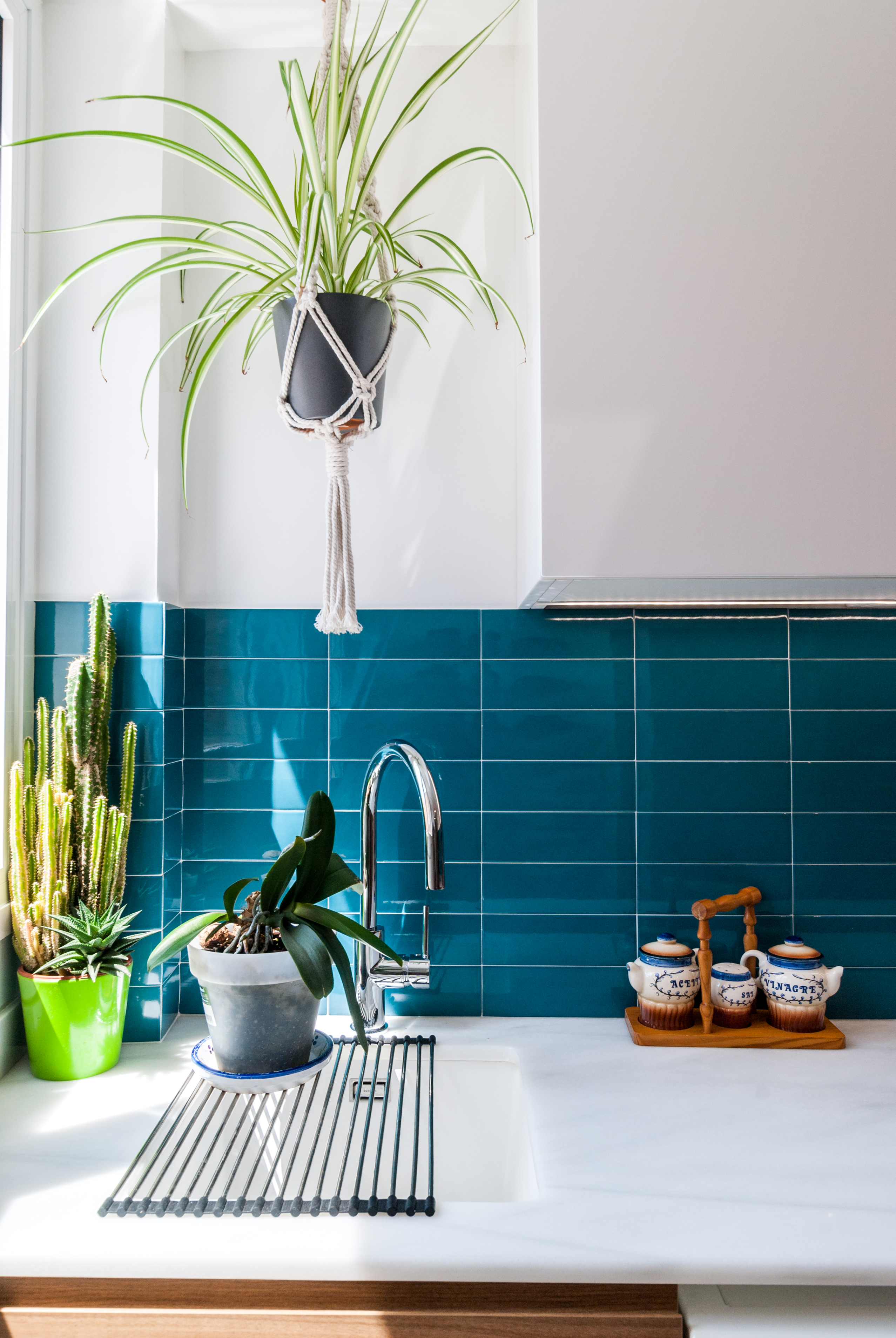 Cocina-plantas-cerámica